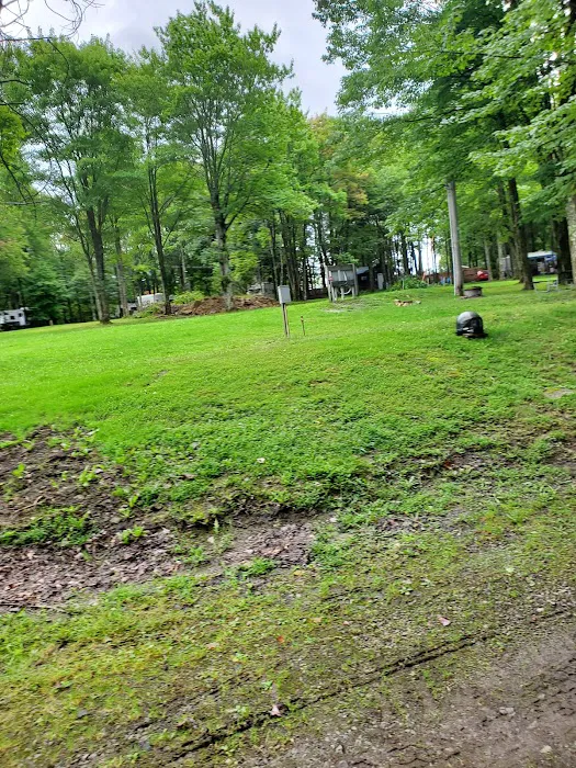 Pine Hill Campground Picture 1