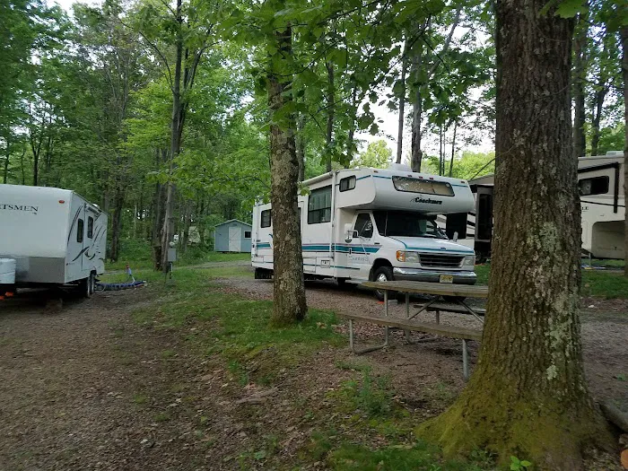 Pine Hill Campground Picture 3