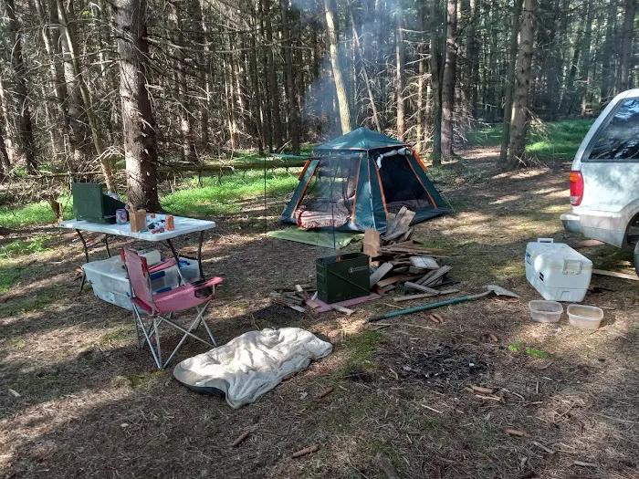 Pine Hill Campground Picture 4