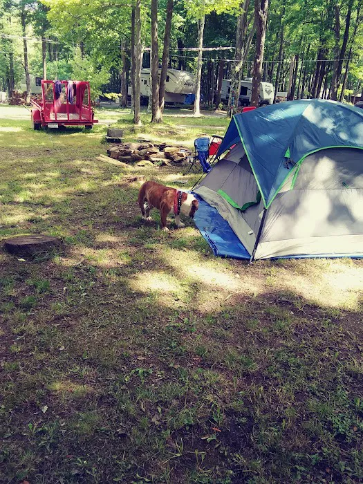 Pine Hill Campground Picture 7