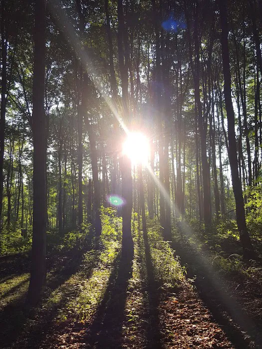 Pine Hill Campground Picture 9