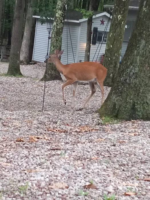 Big Bear Lake Camplands Picture 1