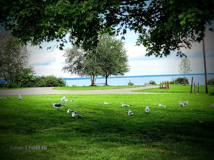 Jamestown Campground - Pymatuning State Park (PA) Picture 5