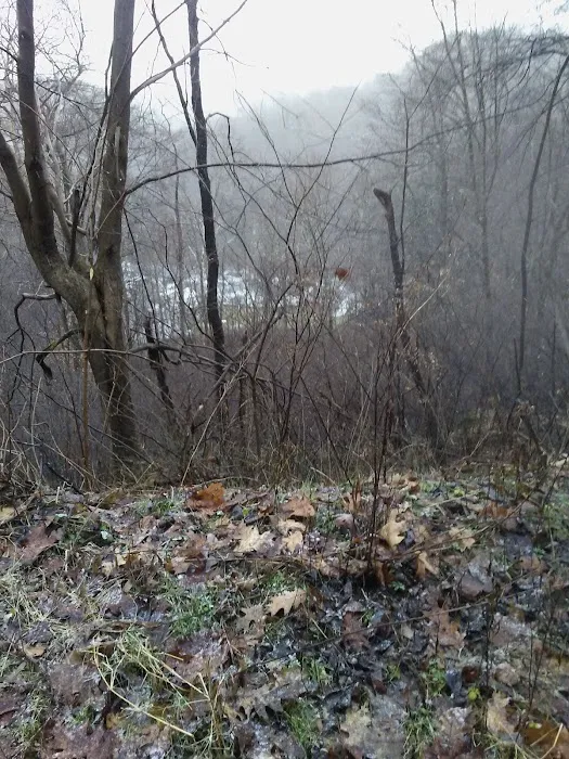 Hollow Rock Campground Picture 2