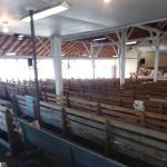 Hollow Rock Campground