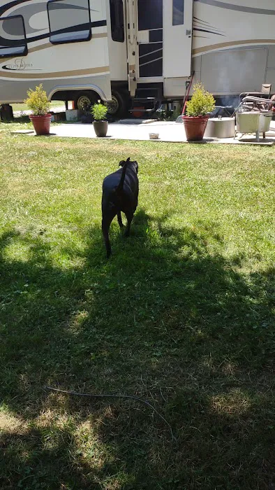 Joe Bottom's Camping Picture 5