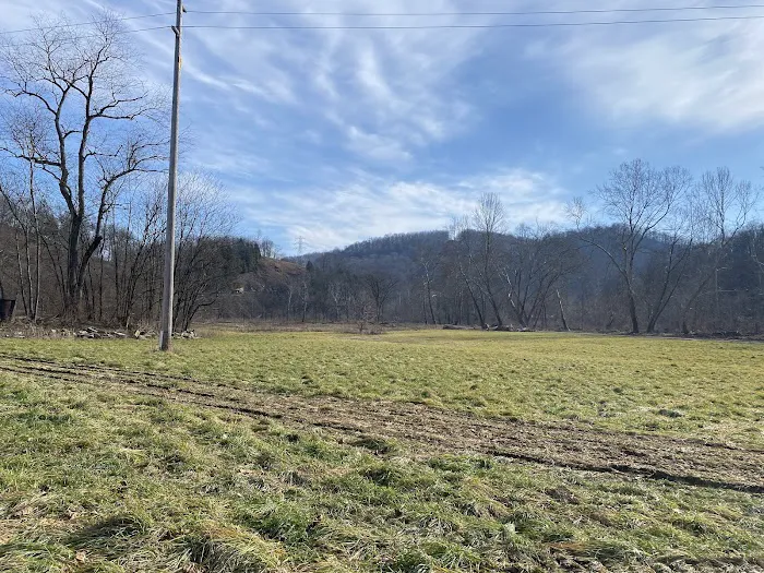 Joe Bottom's Camping Picture 7