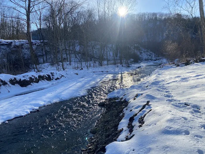 Joe Bottom's Camping Picture 4