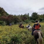 Beaver Creek State Park Horesmanu2019s Camp