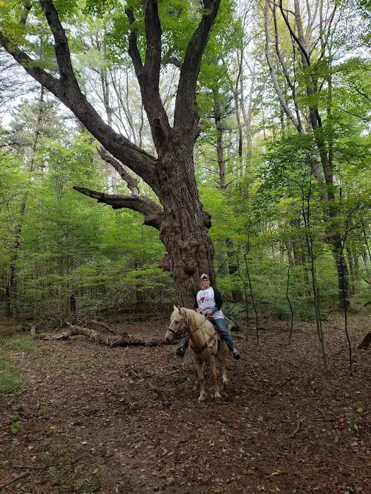 Beaver Creek State Park Horesman’s Camp Picture 2