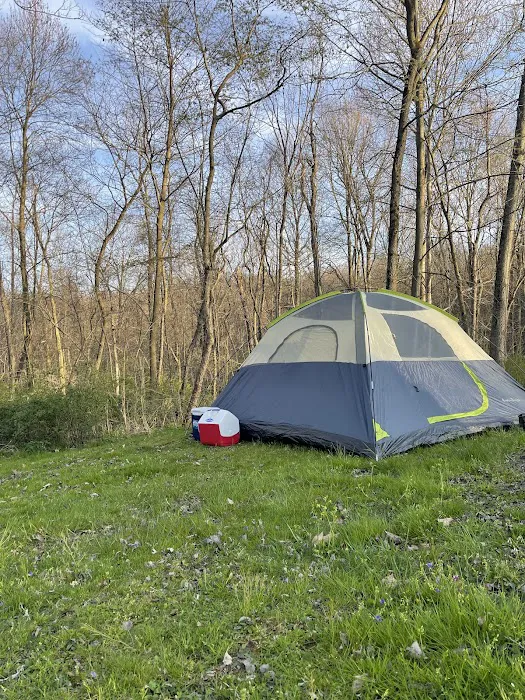 Hidden Hollow Campground Picture 10