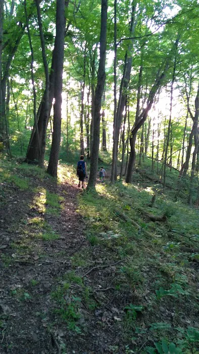 Hidden Hollow Campground Picture 3