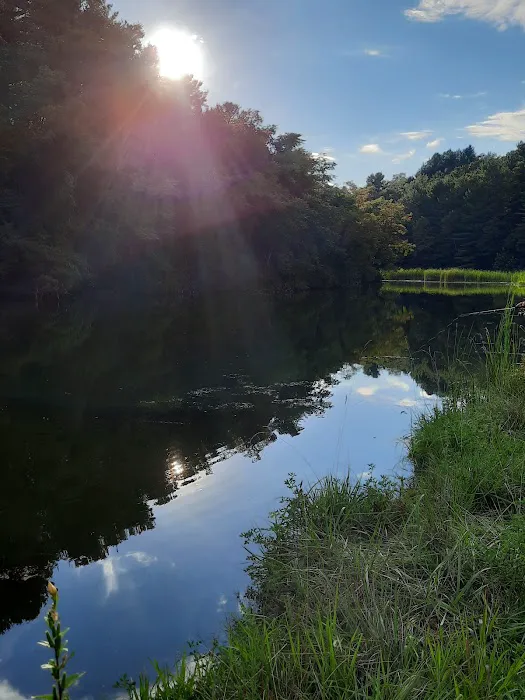 Hidden Hollow Campground Picture 2