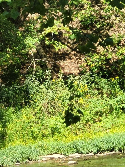 Beaver Creek State Park Family Campground Picture 10