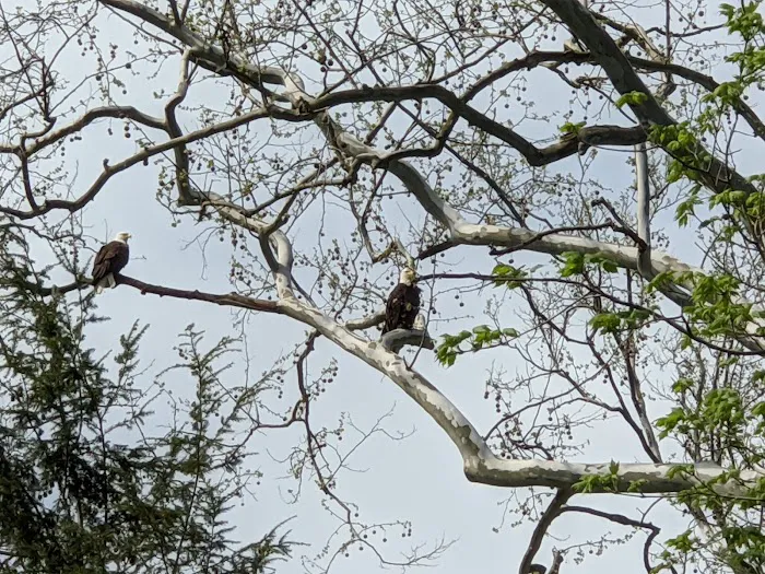 Wildwood Acres Family Campground Picture 5