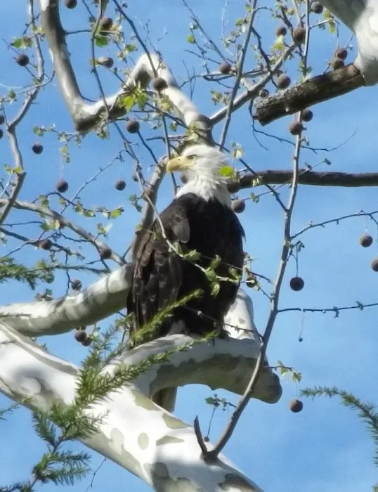 Wildwood Acres Family Campground Picture 4