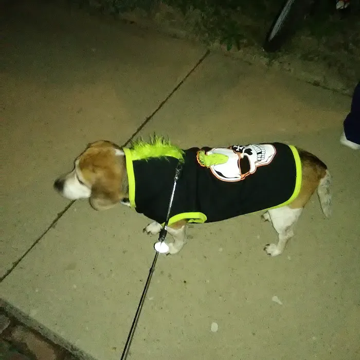 DC Ventures LLC Picture 6