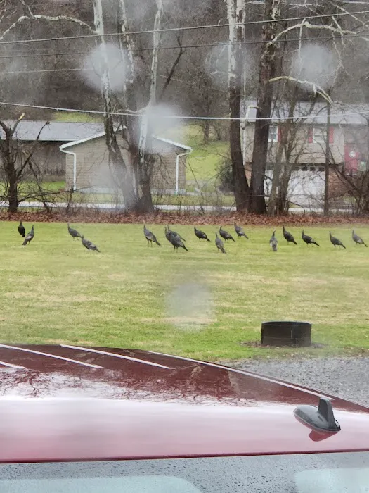 Vally Rentals Campgrounds Picture 1