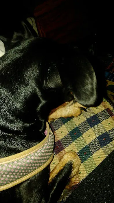 Echo Valley Campground Picture 2