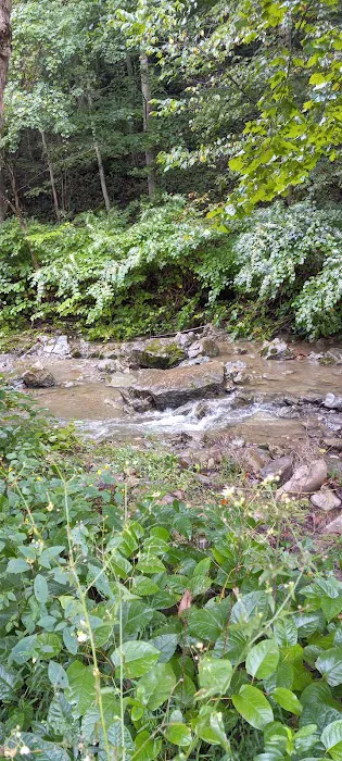 Maier family camp and market LLC. Picture 5