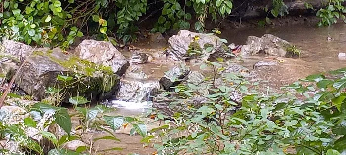 Maier family camp and market LLC. Picture 8