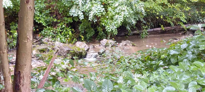 Maier family camp and market LLC. Picture 9