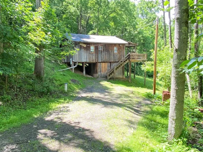 The Hillside Cabin @ Cole's Greene Acres Farm Picture 1