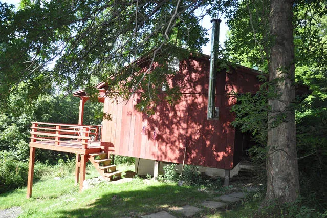 The Red Onion @ Cole's Greene Acres Farm Picture 1