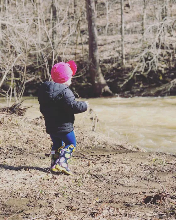 Lightner Campground Picture 4