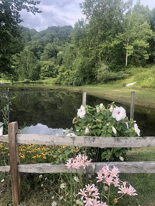 S & K Camp Sites Picture 6