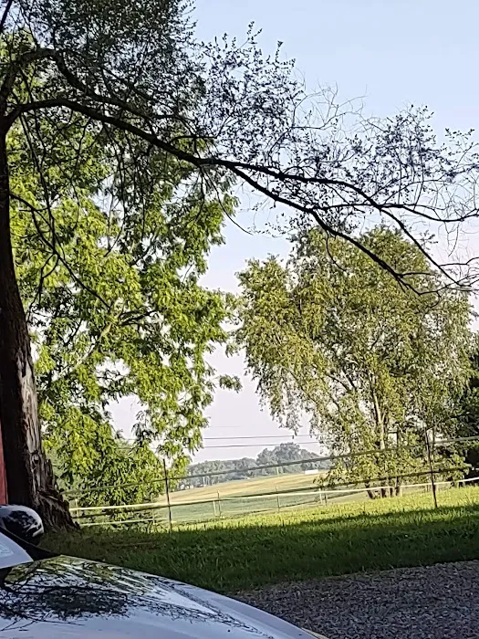 Michelle's cozy cabin Picture 5