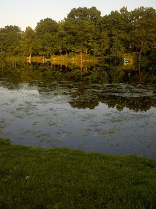 Flying Finn Family Campground Picture 7