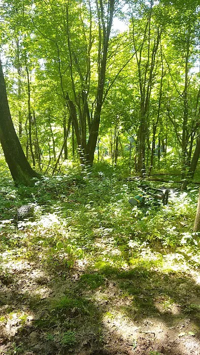 Flying Finn Family Campground Picture 8