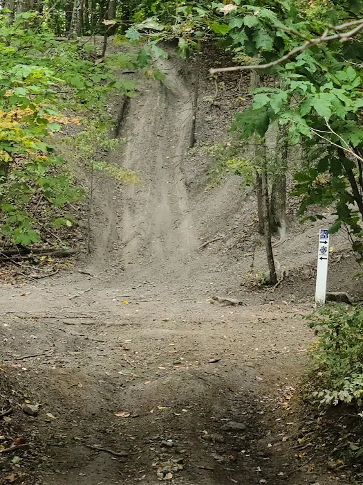Valley View Campground Picture 6