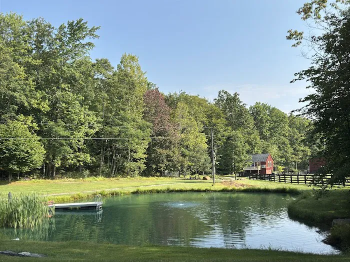 Sweet Springs Glamping Picture 8