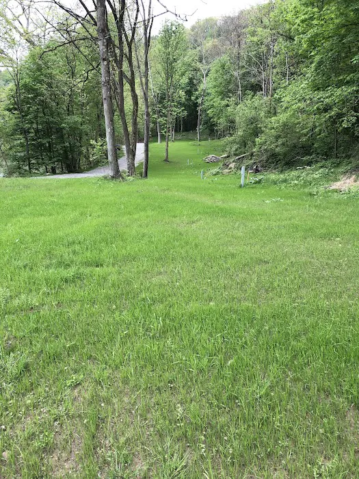 Cheat River Campground Picture 6