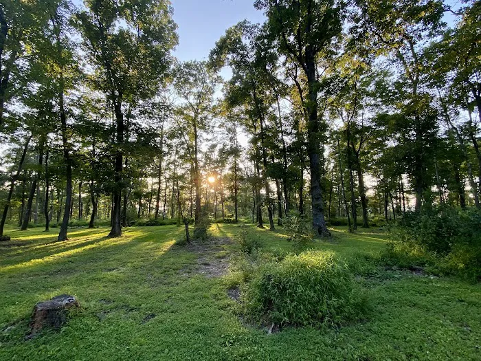 Sand Springs Campground Picture 6