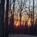 Sand Springs Campground