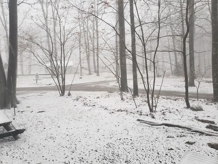 Sand Springs Campground Picture 2