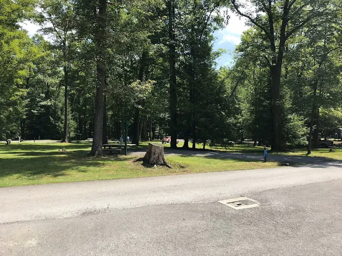 McCollum Campground Picture 10