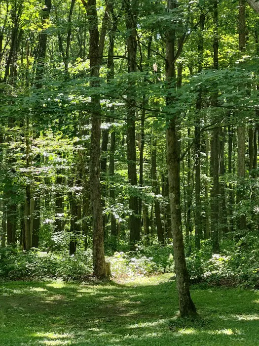 McCollum Campground Picture 7