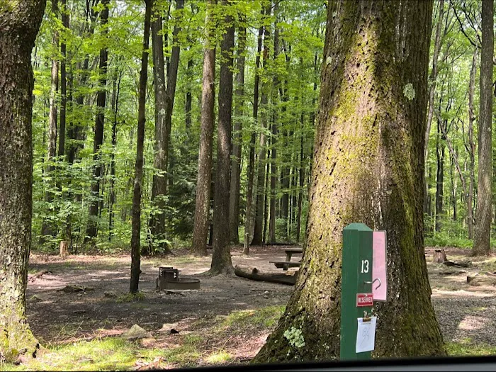 Rhododendron Camping Area Picture 7