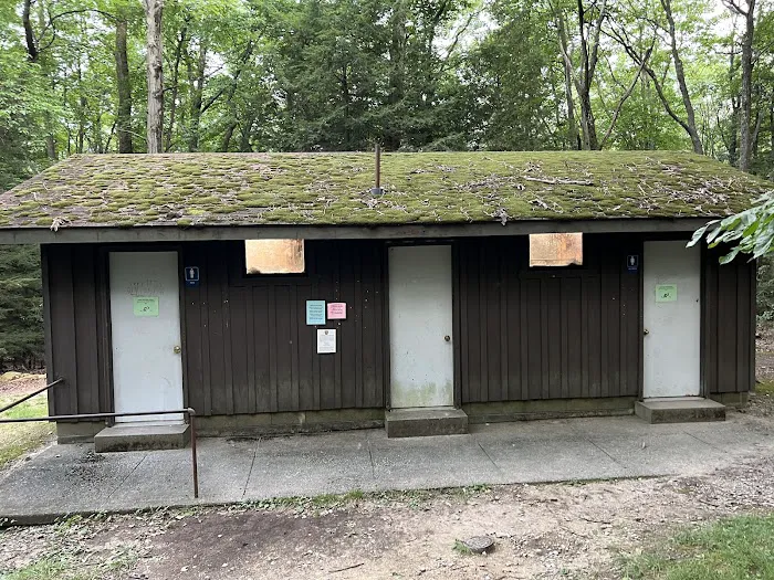 Rhododendron Camping Area Picture 2