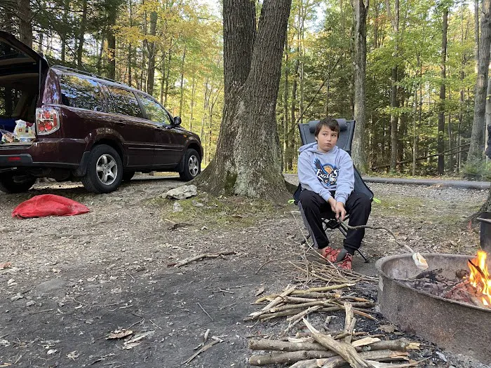 Rhododendron Camping Area Picture 8