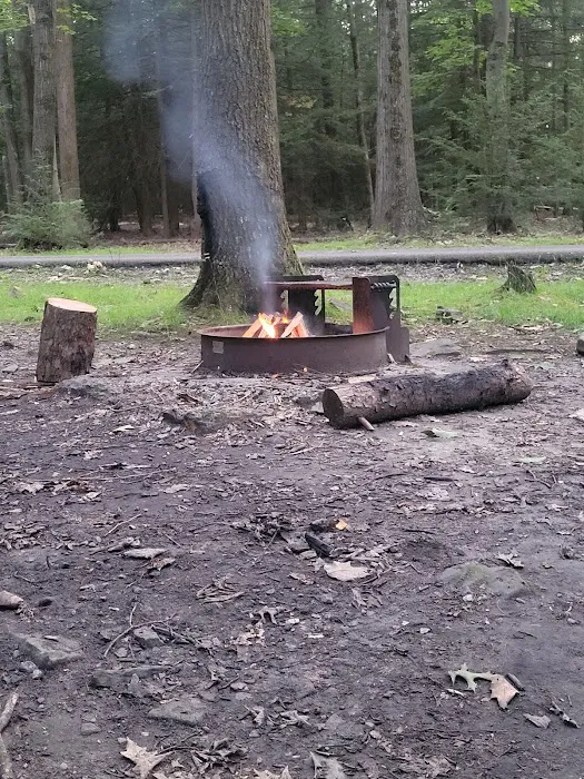 Rhododendron Camping Area Picture 9