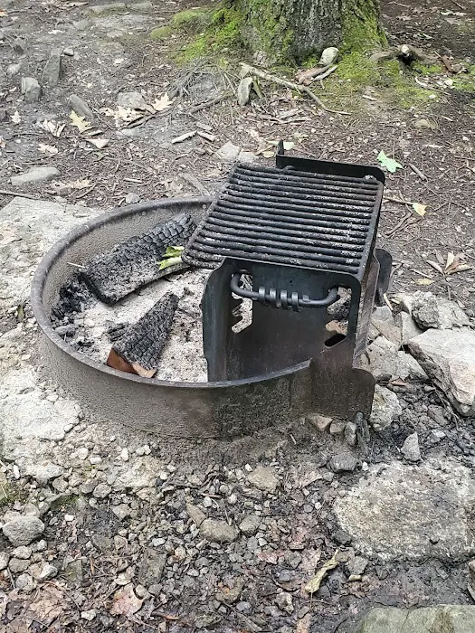 Rhododendron Camping Area Picture 3