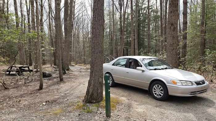 Rhododendron Camping Area Picture 4