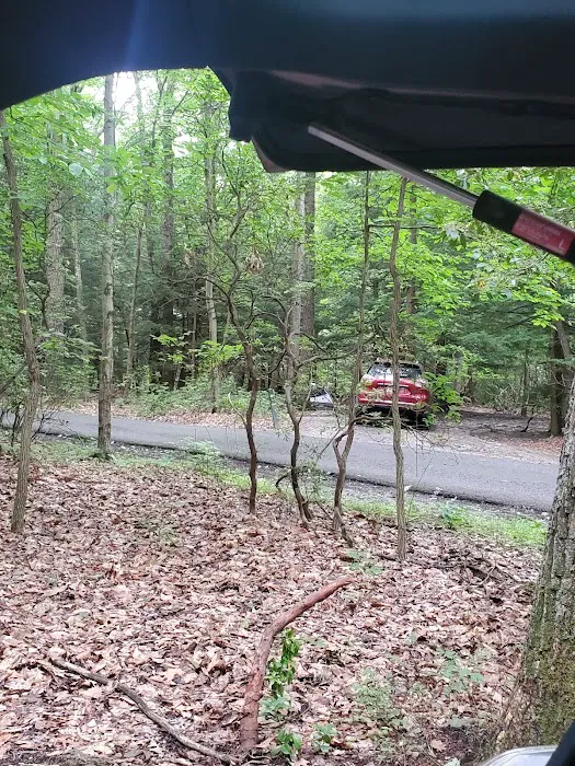 Rhododendron Camping Area Picture 10