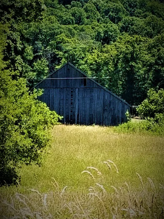 Morgantown Campground Picture 8