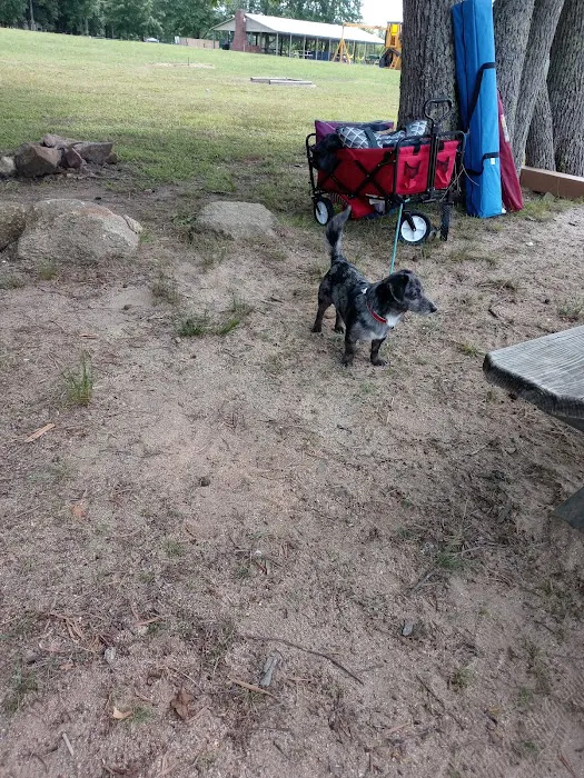 Lake Chesdin Campground Picture 10